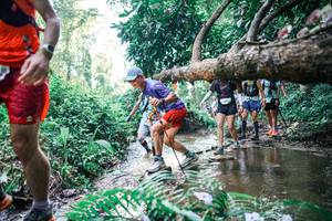 BIB: 
                            <button type="button" onclick="openModal(25459889)" class="btn btn-primary btn-sm float-right btn-popup" data-toggle="modal" data-target=".modal-high-quality">
                        <i class="fas fa-shopping-cart"></i> Add to Cart
                    </button>
                                            <button type="button" onclick="isThisMe(25459889, true)" class="btn btn-success btn-sm float-right btn-popup btn-isme hidden" data-toggle="tooltip" data-placement="bottom" title="นี่คือรูปของคุณใช่ไหม คลิกที่นี่เพื่อเอาเข้าอัลบั้ม">
                        <i class="fas fa-plus"></i> Add to album
                    </button>
                    <button type="button" onclick="isThisMe(25459889, false)" class="btn btn-warning btn-sm float-right btn-popup btn-isnotme hidden">
                        <i class="fas fa-ban"></i> Remove from album
                    </button>